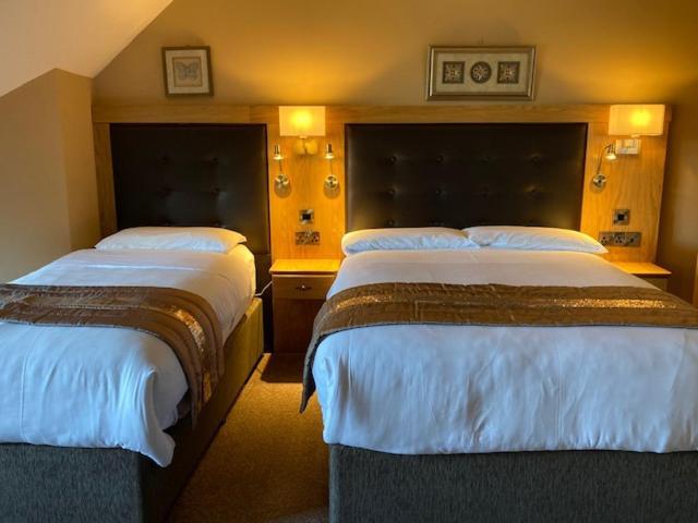 Tailors Lodge, Continental Breakfast 卡斯莱兰 外观 照片